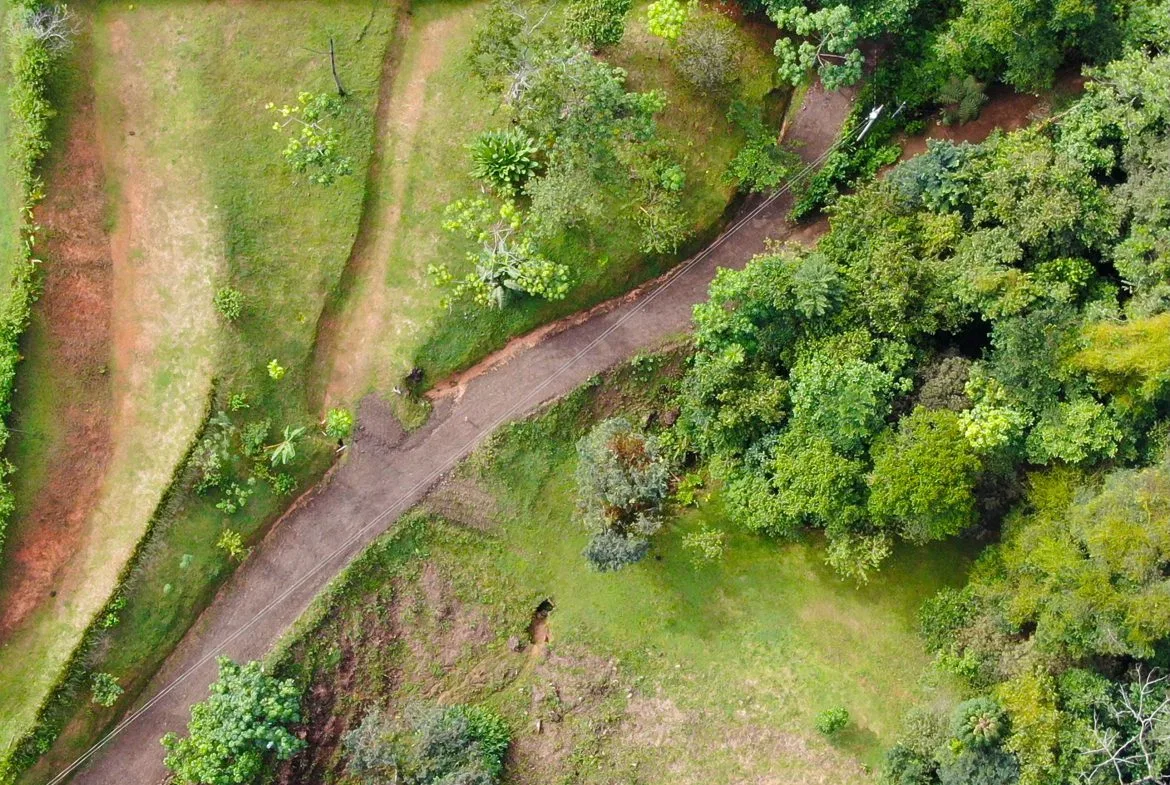 BUILDING PROPERTY WITH MOUNTAINS VIEWS, IN SAN JOSECITO – 1.8 ACRES, photo 10