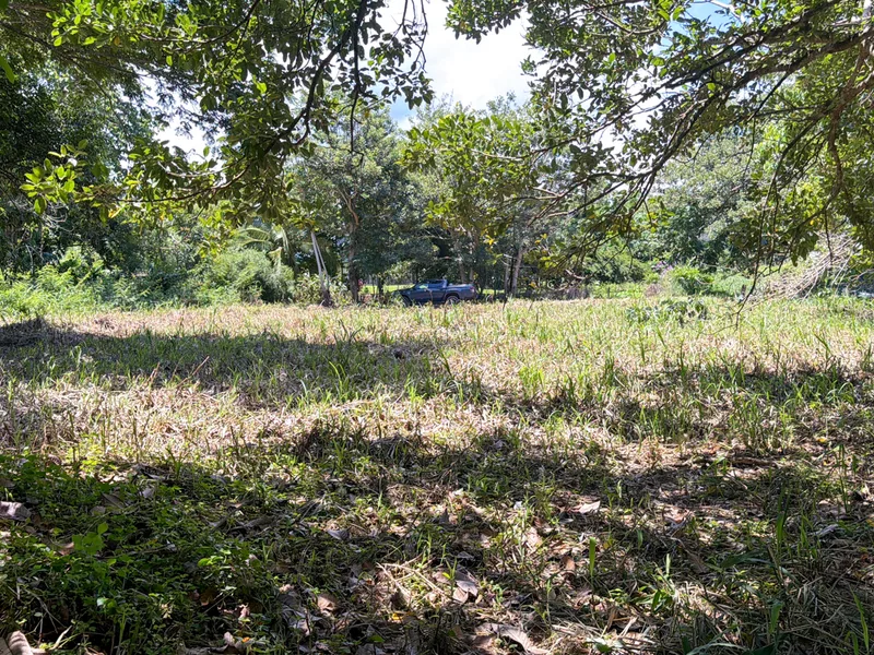 Land For Sale in Matapalo, photo 2