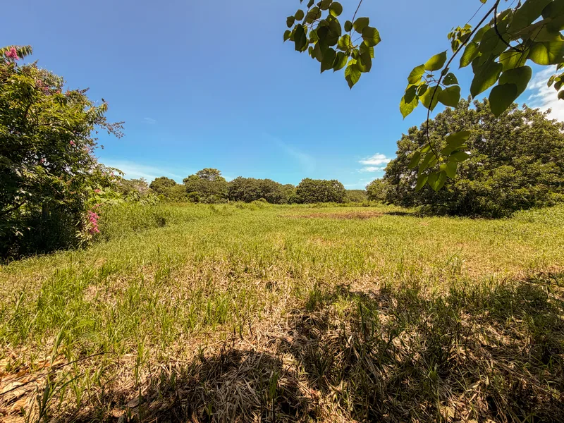 Land For Sale in Matapalo, photo 5