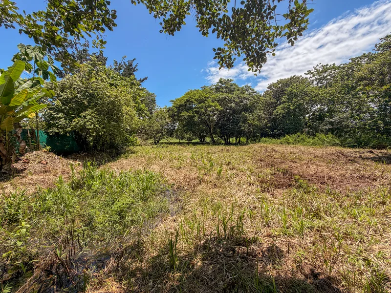 Land For Sale in Matapalo, photo 6