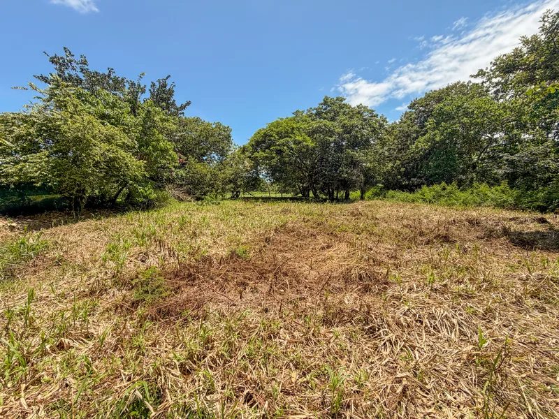 Land For Sale in Matapalo, photo 7