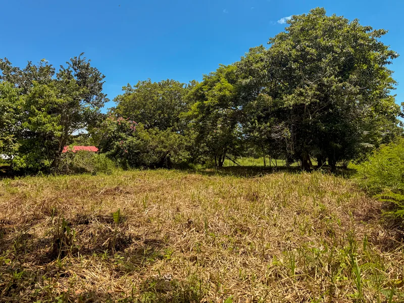 Land For Sale in Matapalo, photo 3