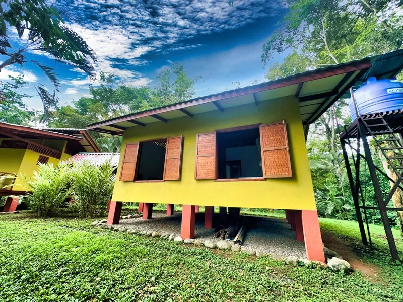 4 Bed Single Family Homes For Sale in Puerto Viejo, photo 2