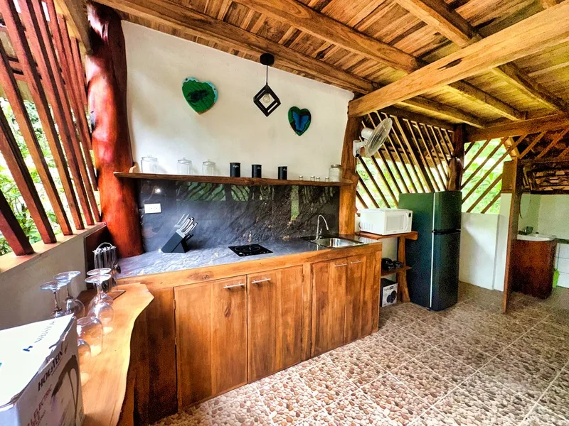 4 Bed Single Family Homes For Sale in Puerto Viejo, photo 12