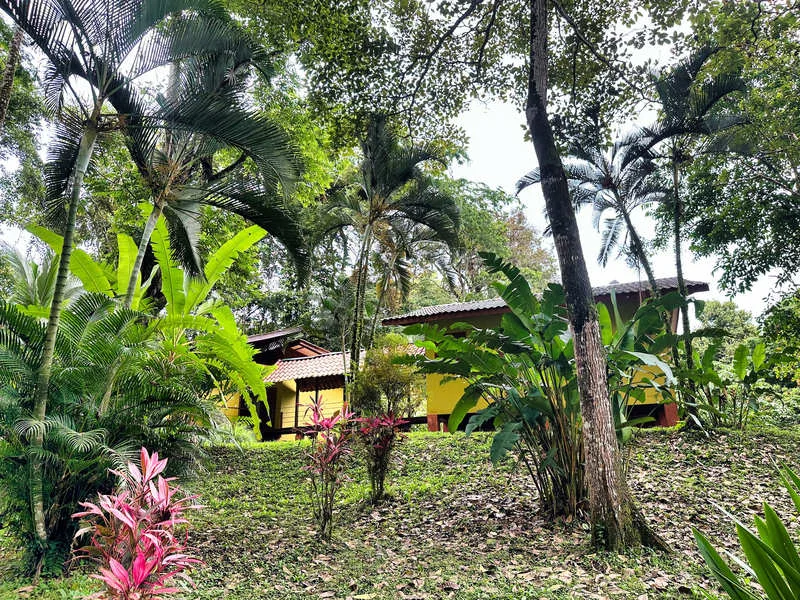 4 Bed Single Family Homes For Sale in Puerto Viejo, photo 6