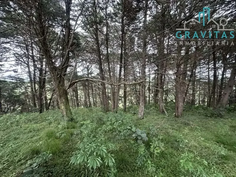 Venta de lote en Heredia San Rafael | 1 HECTÁREA | PARA VIVIENDA | F 757, photo 15
