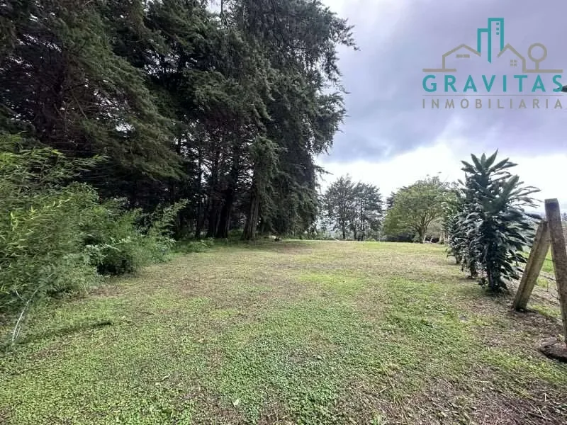 Venta de lote en Heredia San Rafael | 1 HECTÁREA | PARA VIVIENDA | F 757, photo 3