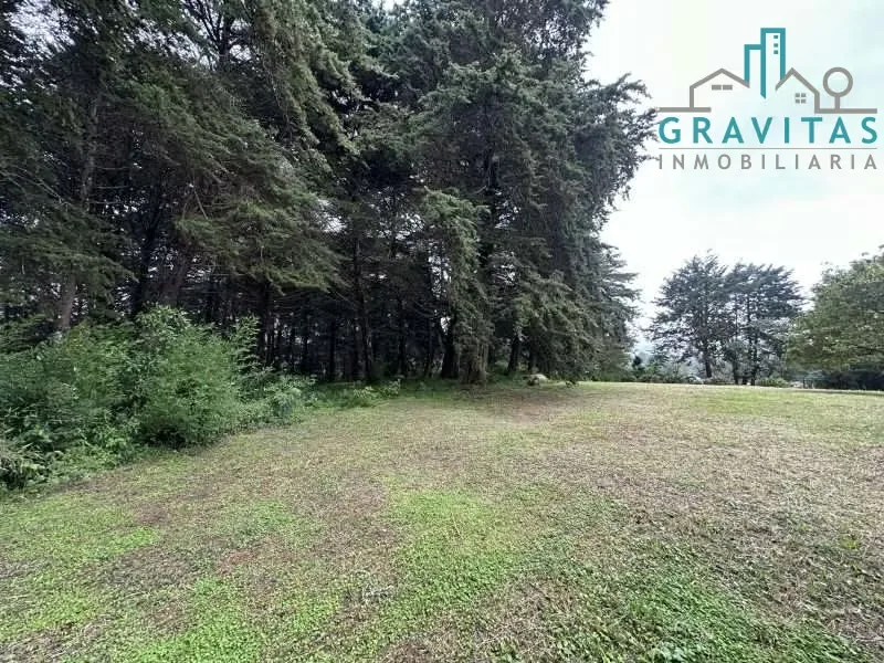 Venta de lote en Heredia San Rafael | 1 HECTÁREA | PARA VIVIENDA | F 757, photo 6