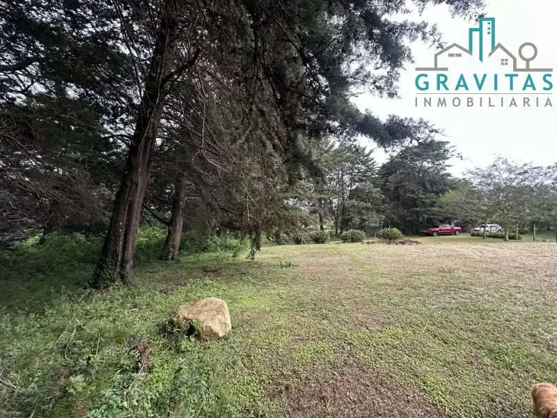Venta de lote en Heredia San Rafael | 1 HECTÁREA | PARA VIVIENDA | F 757, photo 8