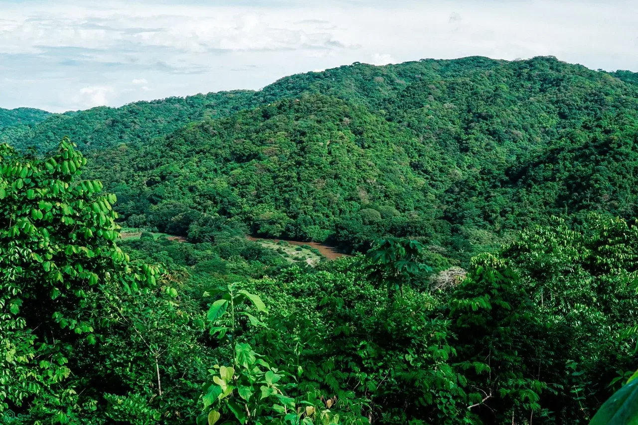Finca Tremblade 170-Acre Jungle and Ocean-View, Nosara, Guanacaste 50206