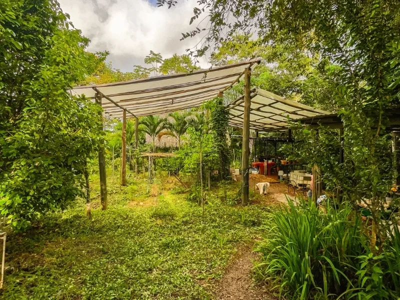 2 Bed Single Family Homes For Sale in Montezuma, photo 4