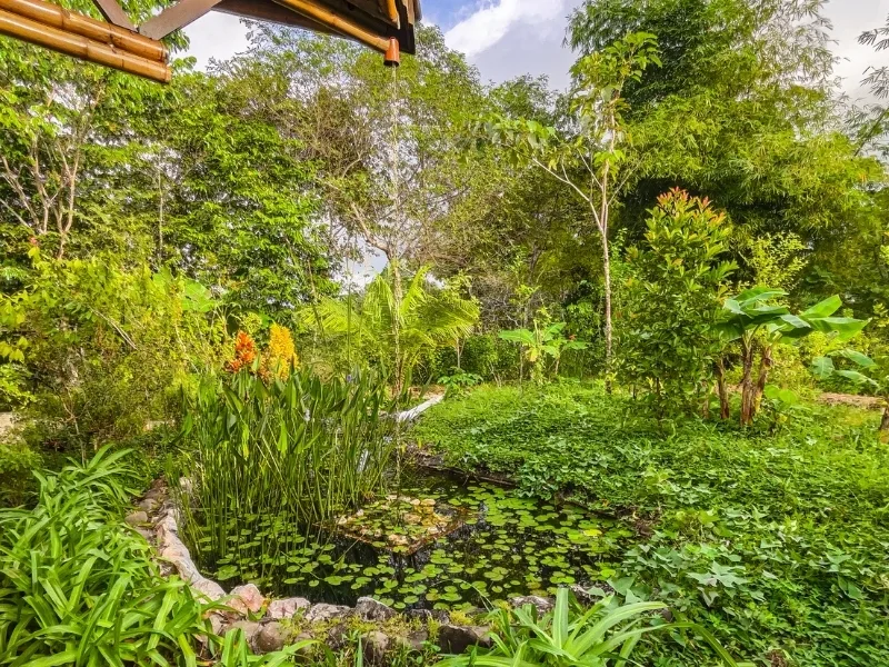 2 Bed Single Family Homes For Sale in Montezuma, photo 5