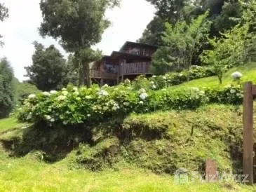 VENTA DE CASA EN CONDOMINIO FRANCOSTA  PBR - Venta en Ulloa, photo 3
