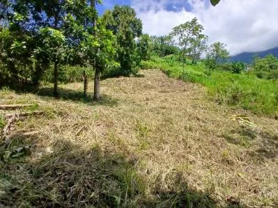 Lote listo para construir en Ojochal con excelentes vistas, naturaleza y seguridad 24/7, photo 7