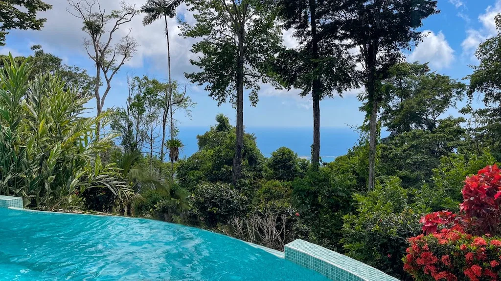 3 Bedroom Home with Views to the Whale Tail – 1.25 Acres, photo 3
