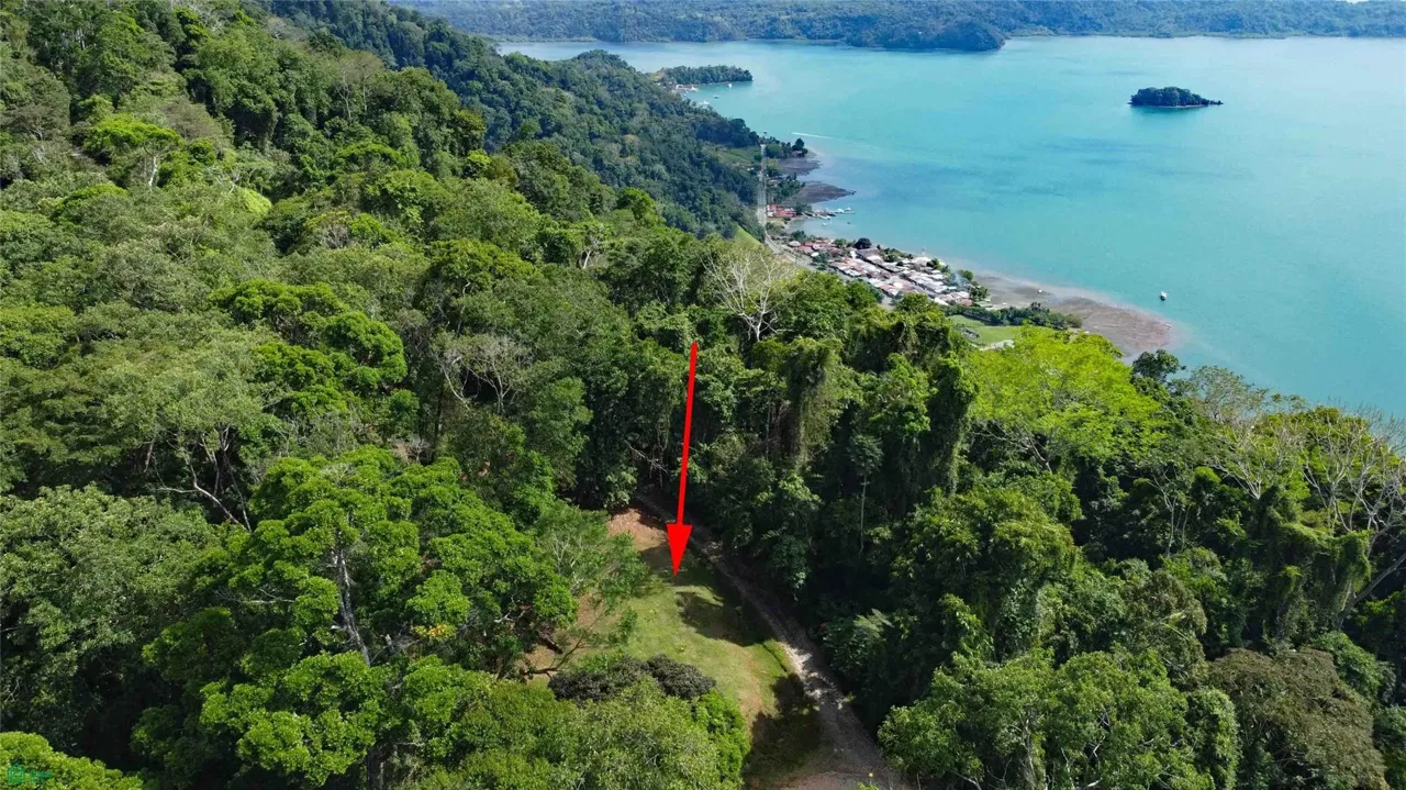 Cerro Adams, Golfito, Puntarenas 60701