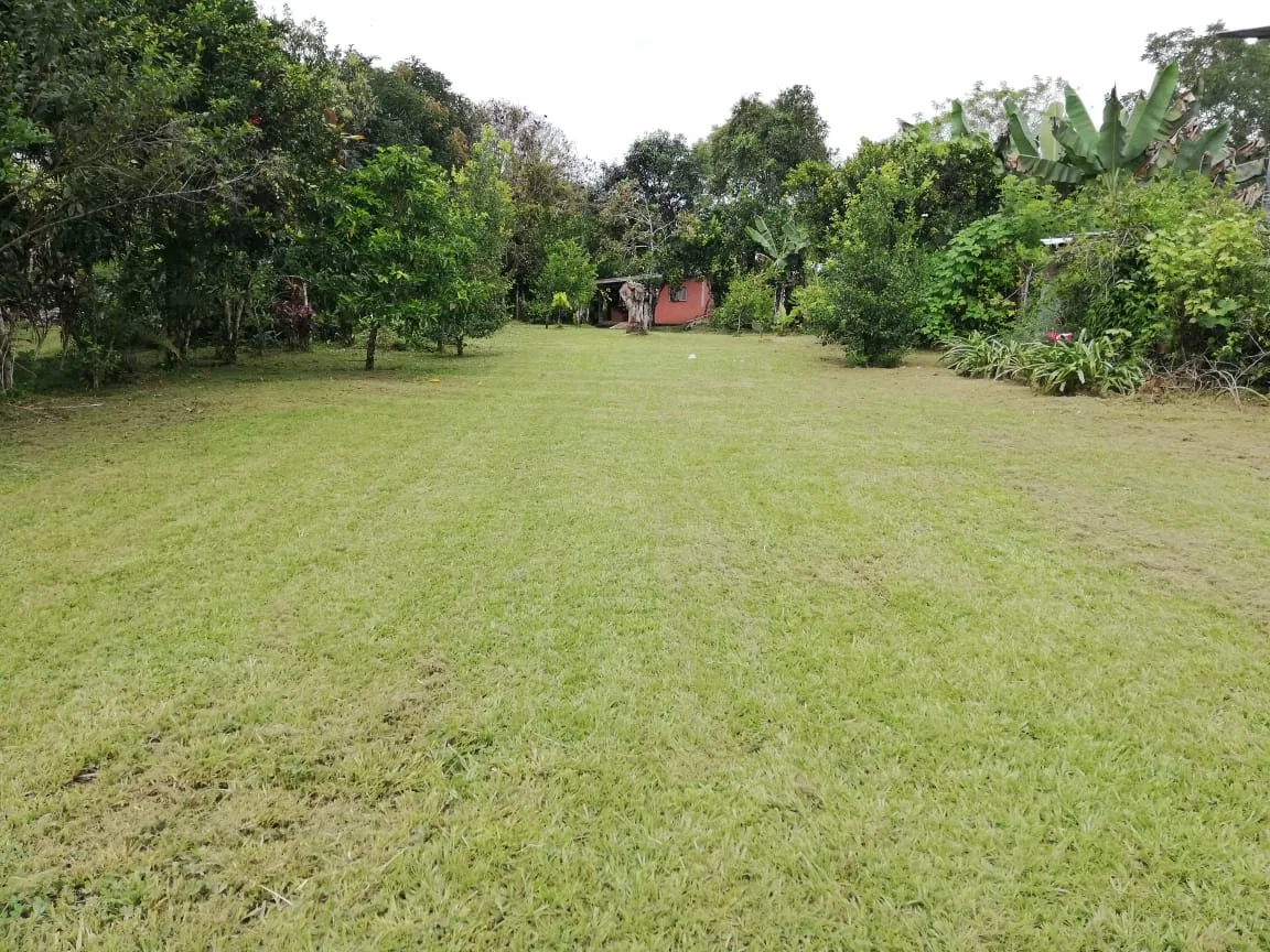 LOTE PLANO CON FRUTALES Y EXCELENTE UBICACION - Venta en Pérez Zeledón