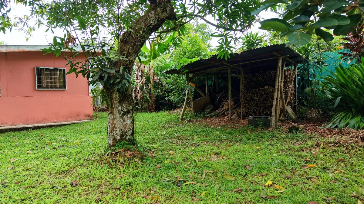LOTE PLANO CON FRUTALES Y EXCELENTE UBICACION - Venta en Pérez Zeledón, photo 11