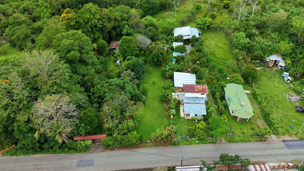 LOTE PLANO CON FRUTALES Y EXCELENTE UBICACION - Venta en Pérez Zeledón, photo 16