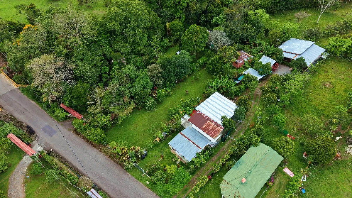 LOTE PLANO CON FRUTALES Y EXCELENTE UBICACION - Venta en Pérez Zeledón, photo 17