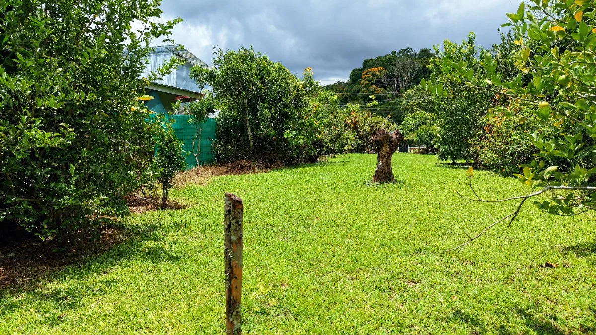 LOTE PLANO CON FRUTALES Y EXCELENTE UBICACION - Venta en Pérez Zeledón, photo 19