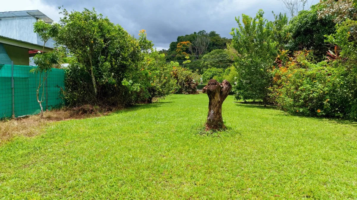 LOTE PLANO CON FRUTALES Y EXCELENTE UBICACION - Venta en Pérez Zeledón, photo 6