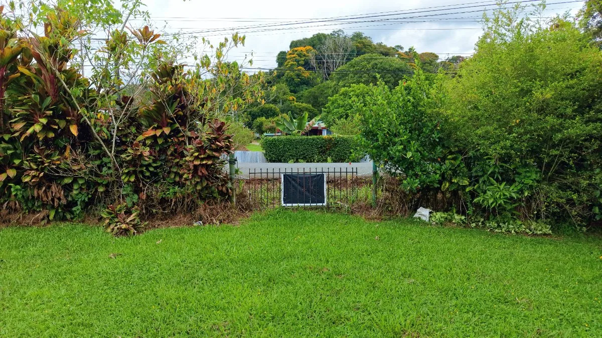 LOTE PLANO CON FRUTALES Y EXCELENTE UBICACION - Venta en Pérez Zeledón, photo 8