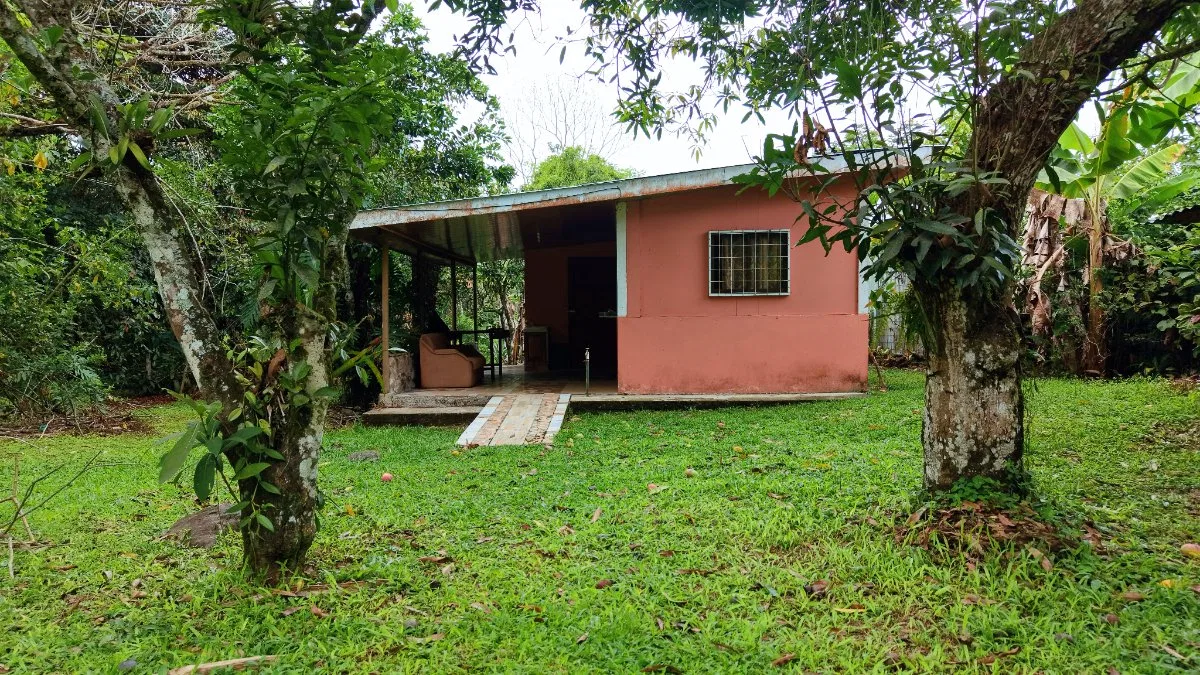 LOTE PLANO CON FRUTALES Y EXCELENTE UBICACION - Venta en Pérez Zeledón, photo 9