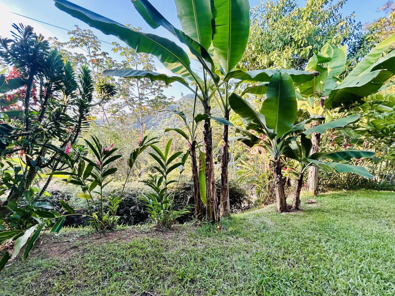 TROPICAL HOUSE WITH AIRBNB POTENTIAL NEAR THE BEACH, IN PLAYA HERMOSA – 0.11 ACRES, photo 24