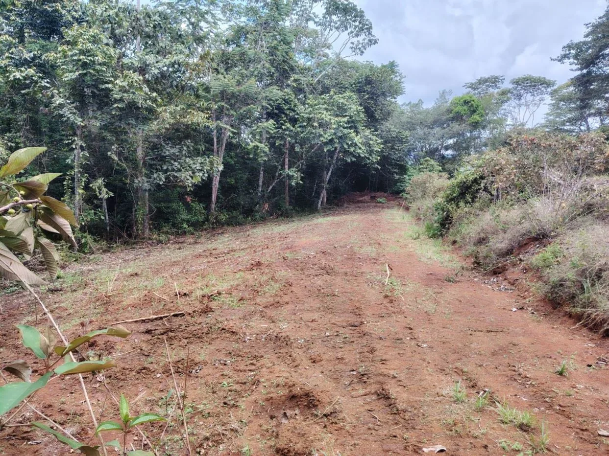 Smart investment: Lots for sale with access to schools, supermarkets, and hospital, photo 6