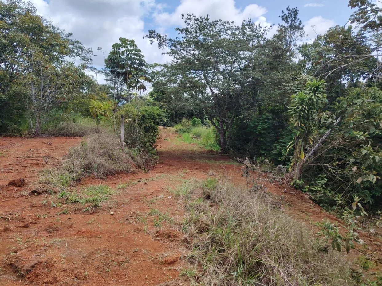 Smart investment: Lots for sale with access to schools, supermarkets, and hospital, photo 7