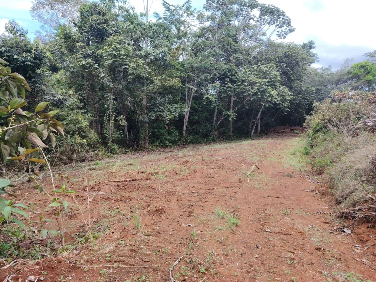 Smart investment: Lots for sale with access to schools, supermarkets, and hospital, photo 8
