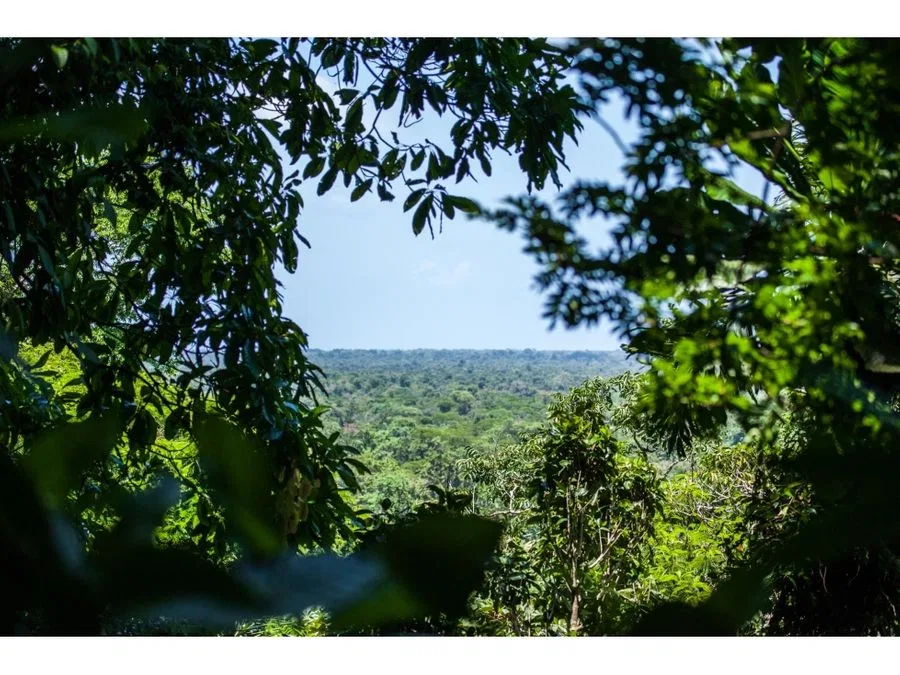 Finca a la venta en Cariari de Guapiles