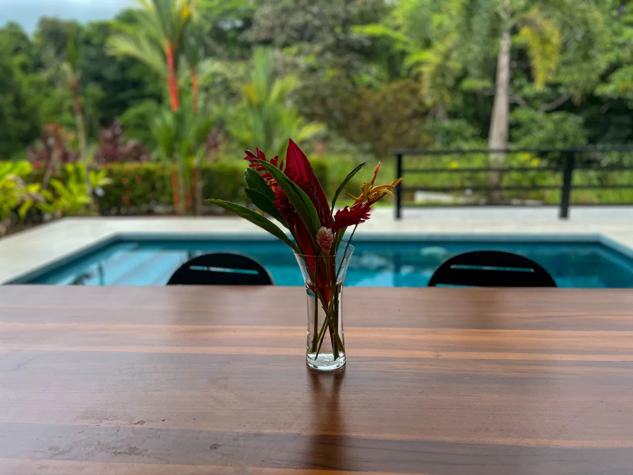 CASA CANTO DEL RÍO – A MODERN JUNGLE RETREAT WITH RIVERFRONT SERENITY & PRIVATE POOL ON 1-ACRE, photo 5