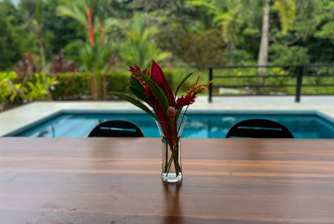 CASA CANTO DEL RÍO – A MODERN JUNGLE RETREAT WITH RIVERFRONT SERENITY & PRIVATE POOL ON 1-ACRE, photo 6