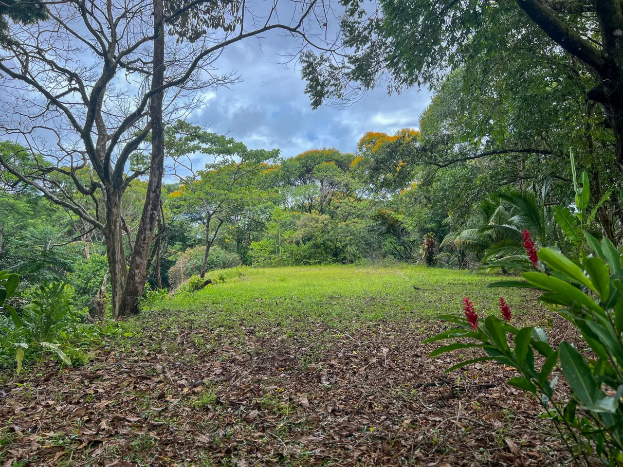 CASA CANTO DEL RÍO – A MODERN JUNGLE RETREAT WITH RIVERFRONT SERENITY & PRIVATE POOL ON 1-ACRE, photo 7