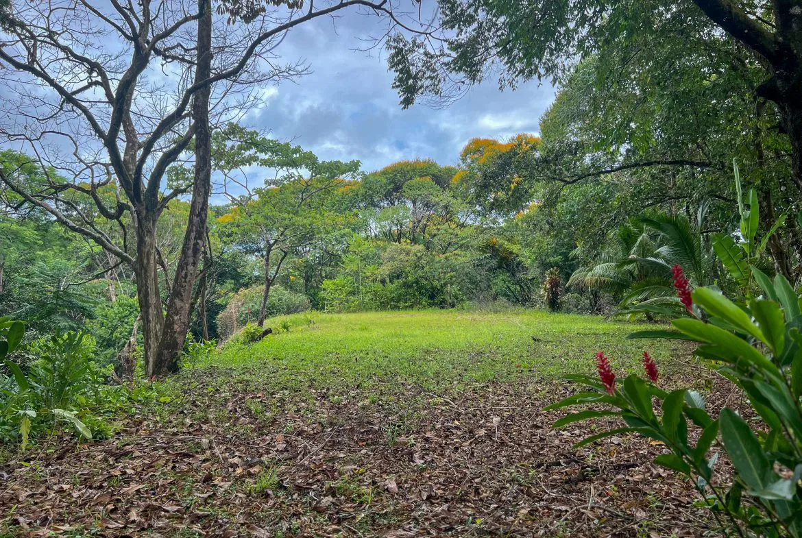 CASA CANTO DEL RÍO – A MODERN JUNGLE RETREAT WITH RIVERFRONT SERENITY & PRIVATE POOL ON 1-ACRE, photo 8