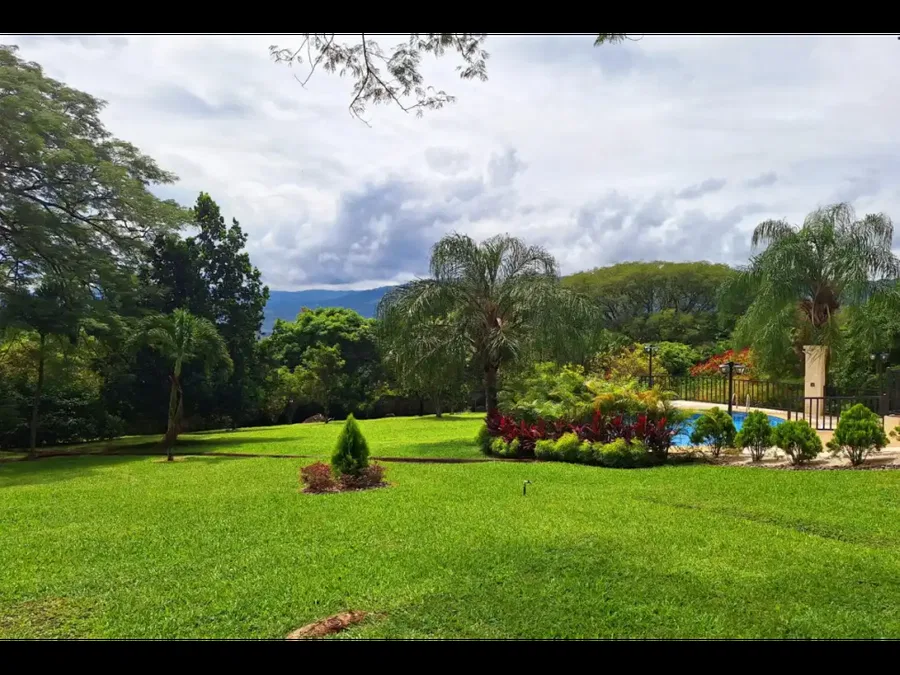Tropical Bliss – Casa Inteligente de Lujo en Atenas, photo 9