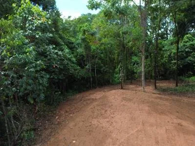 Lote privado en la jungla de Caracara Ridge, bordeado por un río Lote n.° 15, photo 4