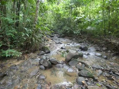 Lote privado en la jungla de Caracara Ridge, bordeado por un río Lote n.° 15, photo 5