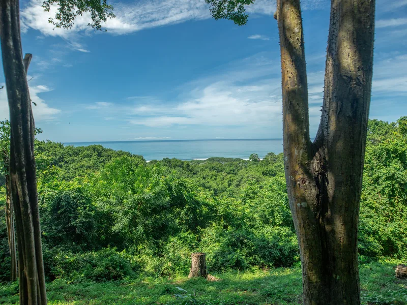 Land For Sale in Ostional
