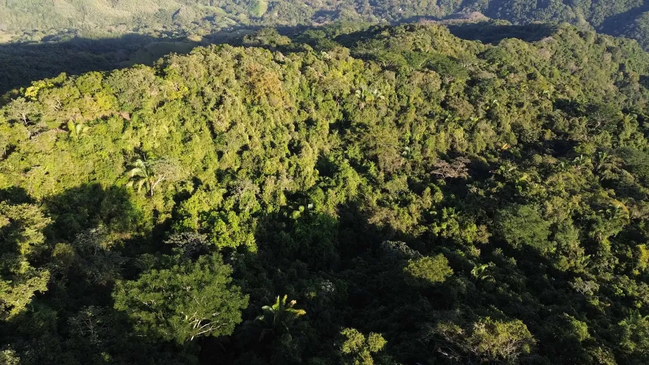 ESPECTACULAR FINCA EN VENTA – NOSARA, GUANACASTE, COSTA RICA, photo 3