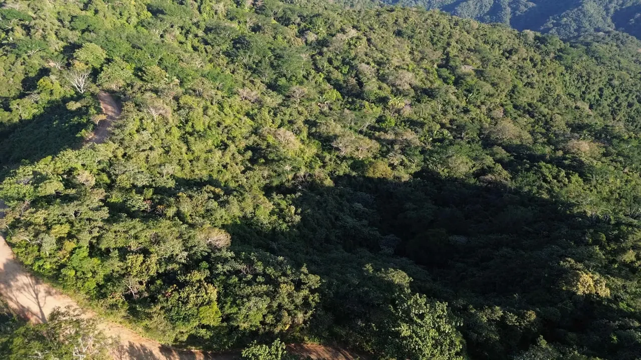 ESPECTACULAR FINCA EN VENTA – NOSARA, GUANACASTE, COSTA RICA, photo 5