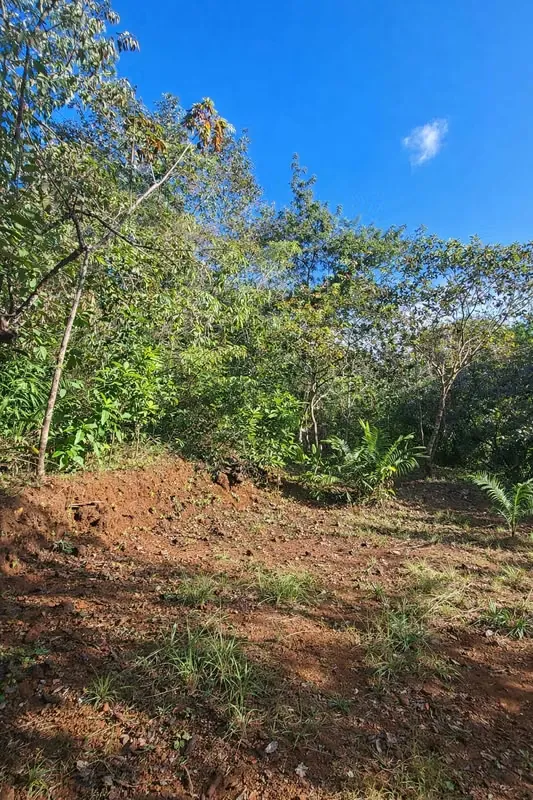 ESPECTACULAR FINCA EN VENTA – NOSARA, GUANACASTE, COSTA RICA, photo 7
