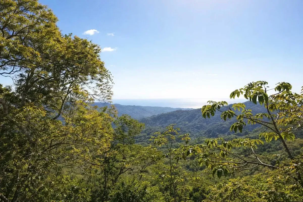 ESPECTACULAR FINCA EN VENTA – NOSARA, GUANACASTE, COSTA RICA, photo 8