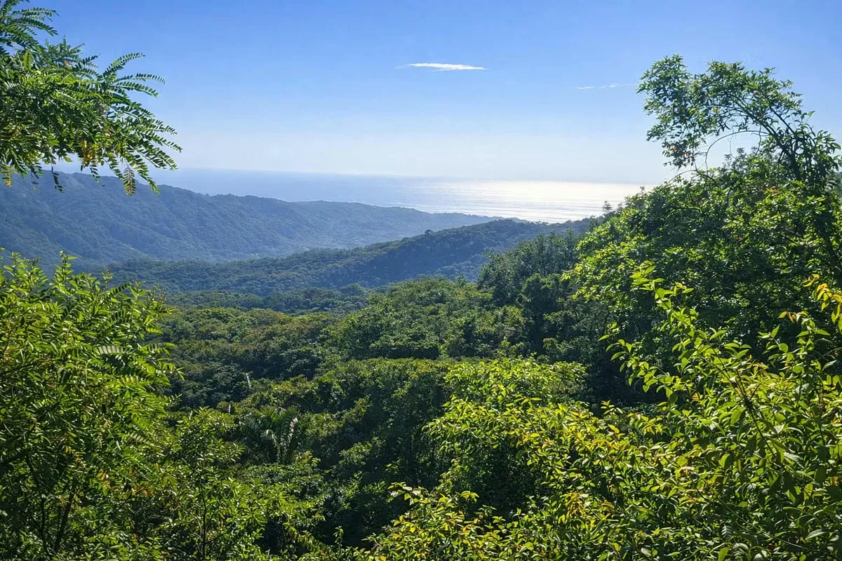 ESPECTACULAR FINCA EN VENTA – NOSARA, GUANACASTE, COSTA RICA, photo 9