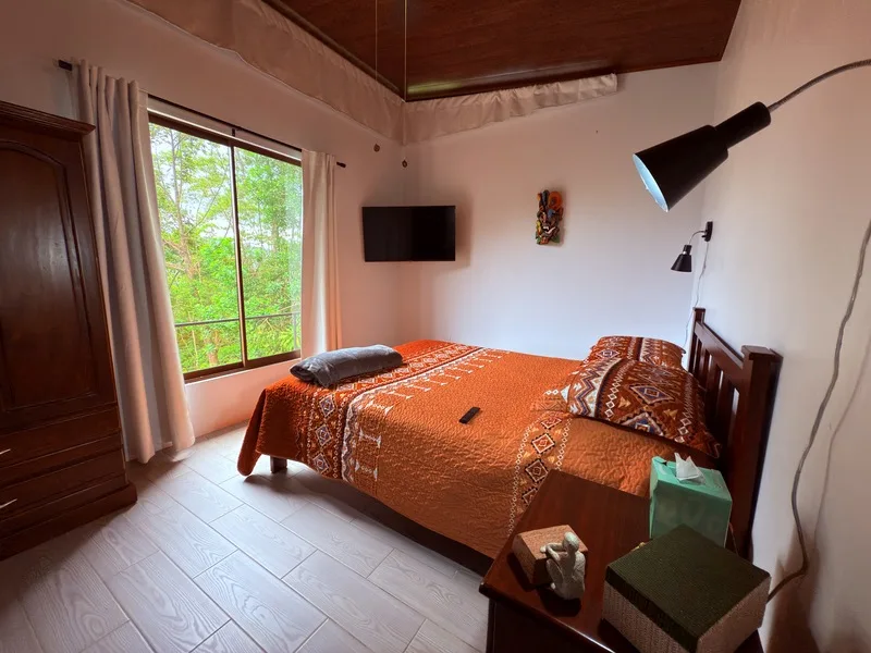 4 Bed Single Family Homes For Sale in Perez Zeledon, photo 12