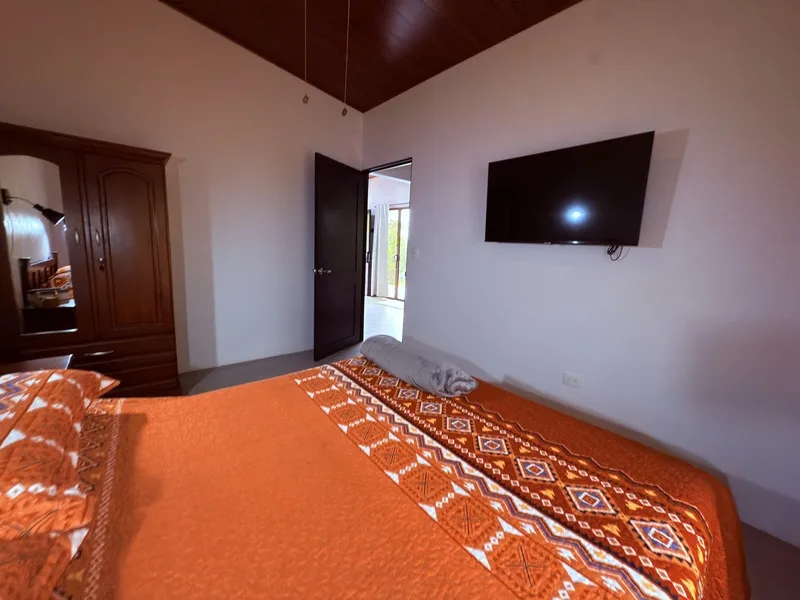 4 Bed Single Family Homes For Sale in Perez Zeledon, photo 13
