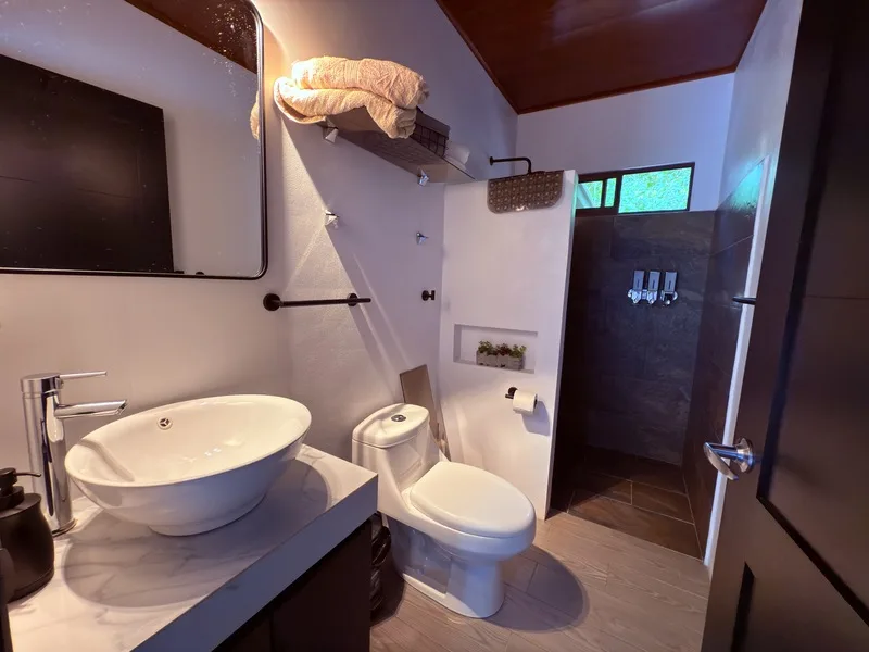 4 Bed Single Family Homes For Sale in Perez Zeledon, photo 15