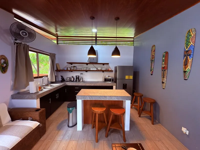 4 Bed Single Family Homes For Sale in Perez Zeledon, photo 4